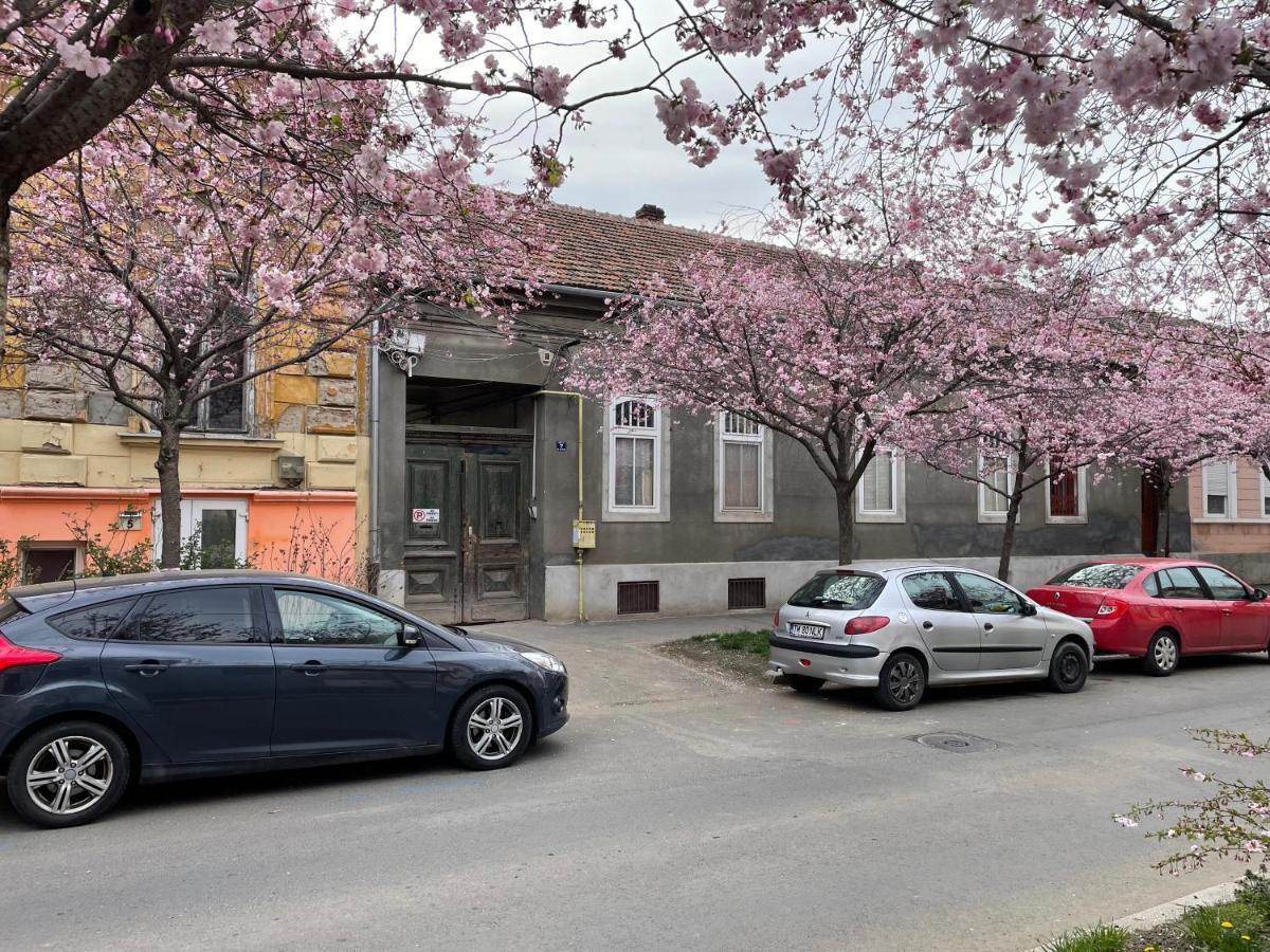 Dulcineea Downtown Garden Studio Temeşvar Dış mekan fotoğraf